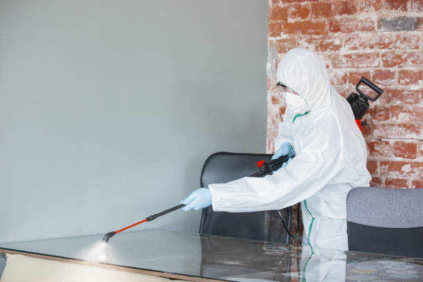 Mold Remediation for Vacation Homes in Fairbank, IA